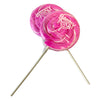 A&B Whirly  Pop Lt Pink 24Ct